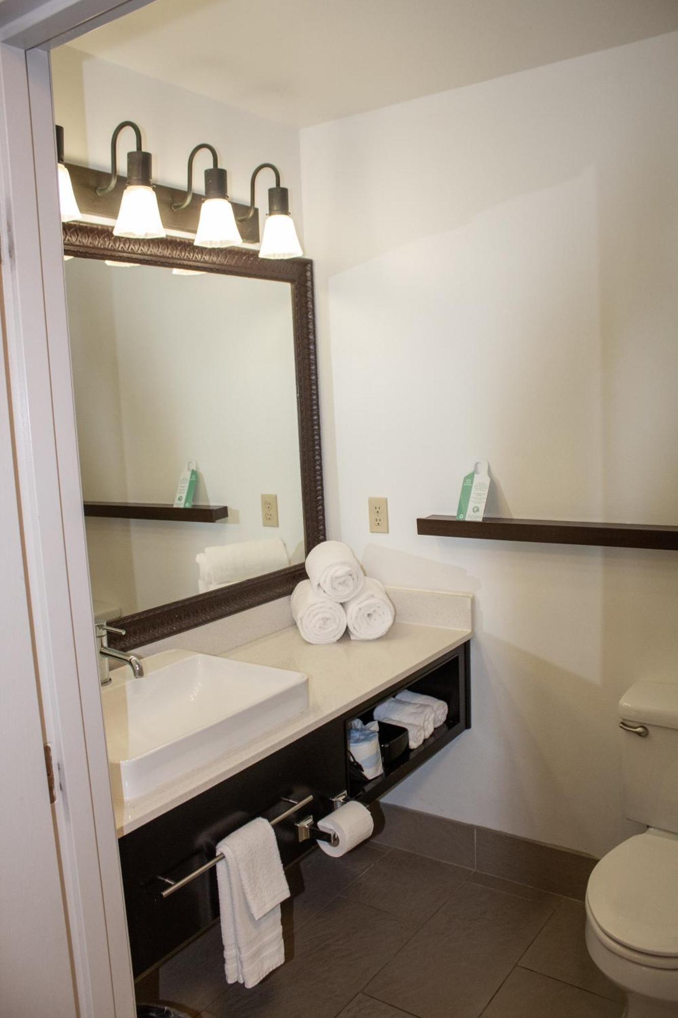 Country Inn & Suites By Radisson, Big Rapids, Mi Esterno foto
